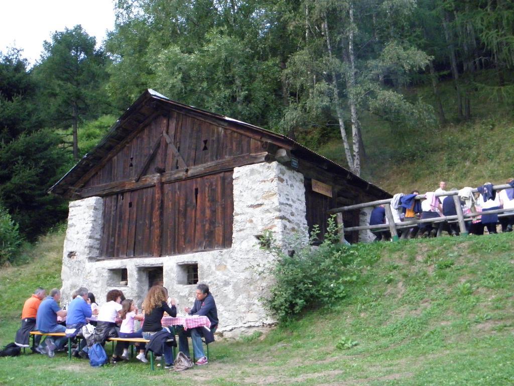 Chalet Alpenrose Bio Wellness Naturhotel Cogolo Εξωτερικό φωτογραφία