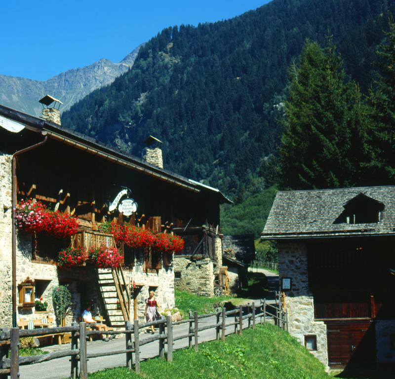Chalet Alpenrose Bio Wellness Naturhotel Cogolo Εξωτερικό φωτογραφία