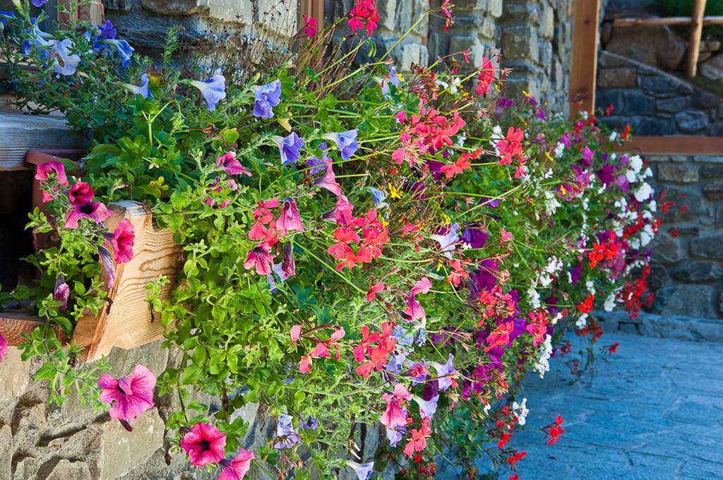 Chalet Alpenrose Bio Wellness Naturhotel Cogolo Εξωτερικό φωτογραφία