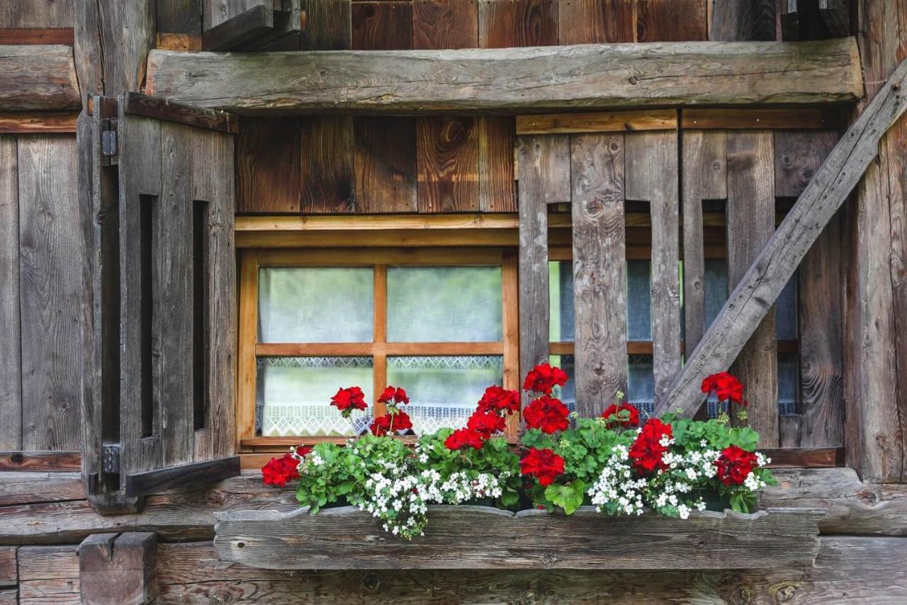 Chalet Alpenrose Bio Wellness Naturhotel Cogolo Εξωτερικό φωτογραφία